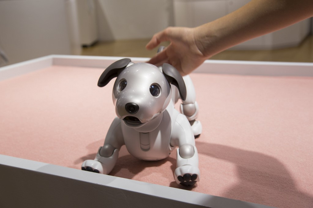 Fotó: AFP/hemis.fr/Colin Mathieu Az Aibo robotkutya észleli a mosolygást, a dicsérő szavakat, a hátát vagy fejét érintő simogatást is