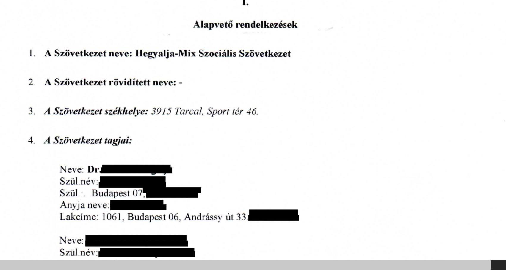 Fotó: Facebook Hadházy: A támogatást – törvénytelenül – eredetileg arra akarták használni, hogy meglevő más vállalkozásukban gyártani szándékozott mosóport csomagoljanak