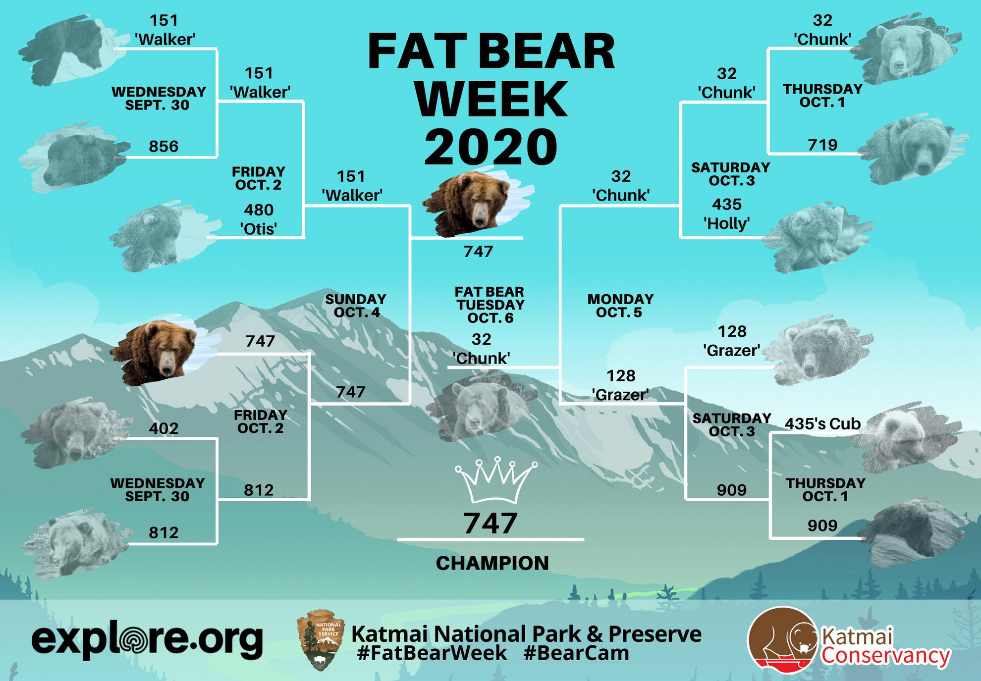 Fotó: Twitter/KatmaiNPS A 747 nevű medve 11 másik fajtársát legyőzve nyerte meg a szavazást