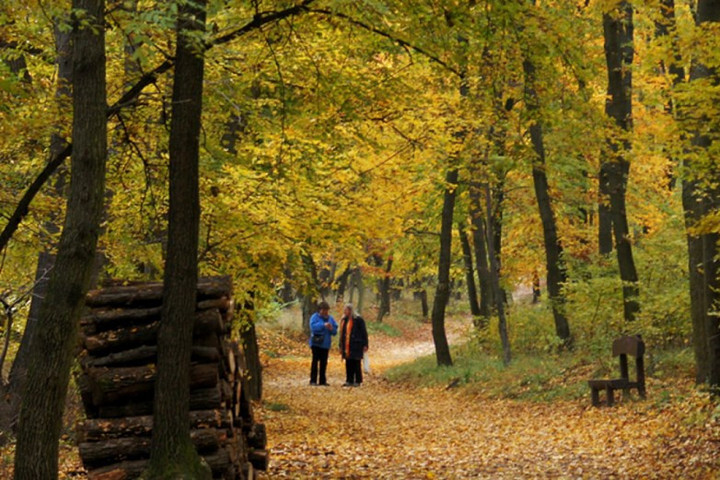 Öt kirándulóhely Magyarországon, amely novemberben a legszebb