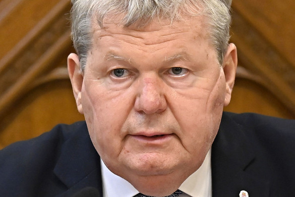 Nem kritikák miatt mondott le Süli János