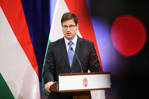 Gulyás: Magyarország az egészségügyre költi a legtöbbet a helyreállítási alapból