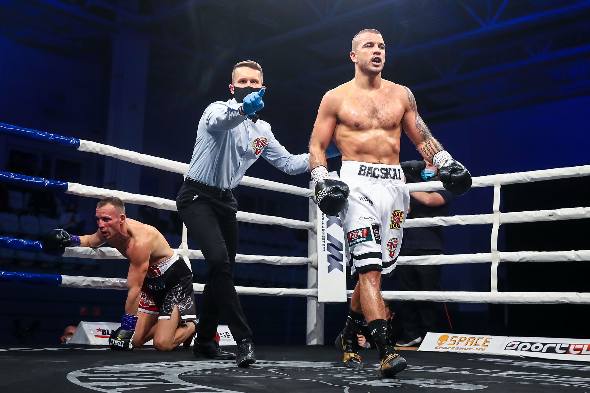 Bacskai Balázs a WBO nagyváltósúlyú interkontinentális bajnoka