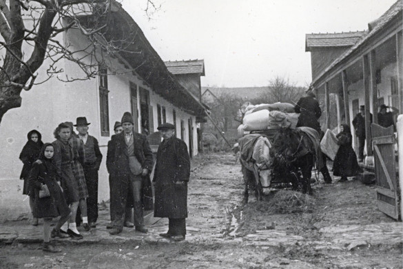 A magyarországi németek államhűsége (1918–1920)