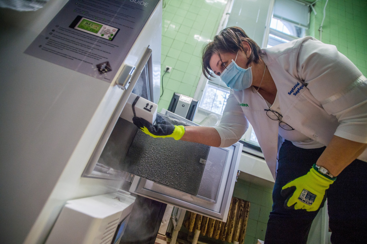 Palotás Mónika főgyógyszerész hűtőbe pakolja a koronavírus elleni oltóanyagot, a Pfizer-BioNTech vakcinát a Szent János Kórházban, ahol folytatódott az egészségügyi dolgozók oltása 2021. január 5-én