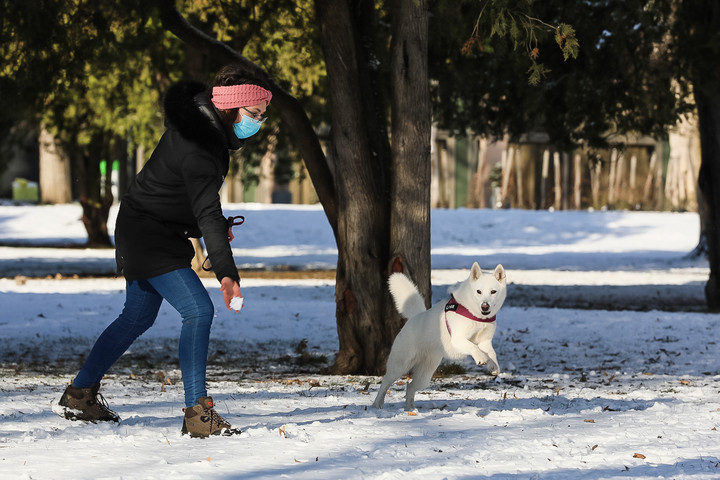 A fagyban az állatok is veszélyben lehetnek