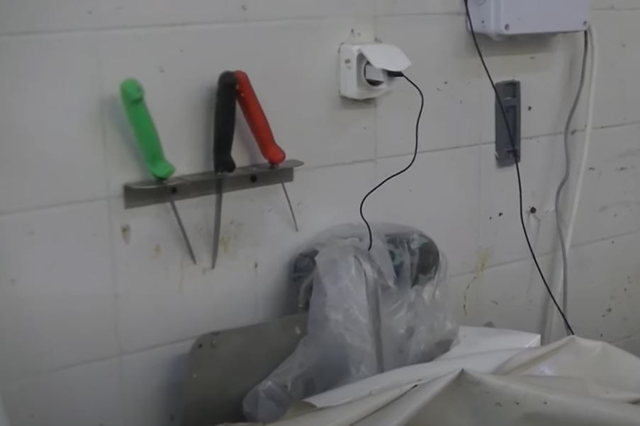 Azonnal bezáratott egy vágóhidat Pest megyében a Nébih