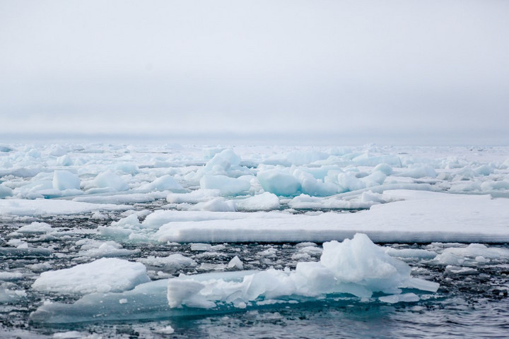 Tiszta édesvíz alkotta a Jeges-tengert a jégkorszakokban