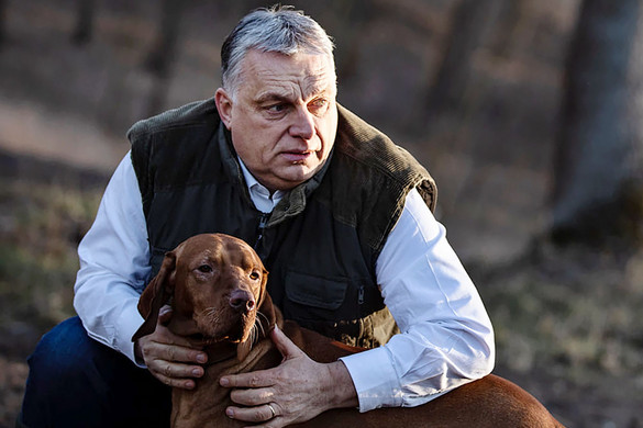 Az állatvédelemről posztolt Orbán Viktor