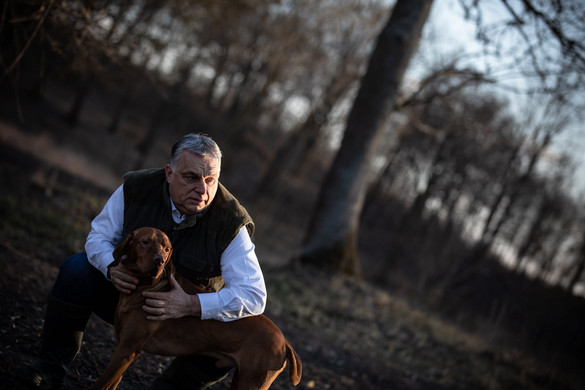 Orbán Viktor már kitöltötte az állatvédelmi kérdőívet