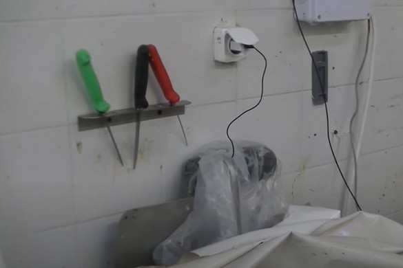 Azonnal bezáratott egy vágóhidat Pest megyében a Nébih