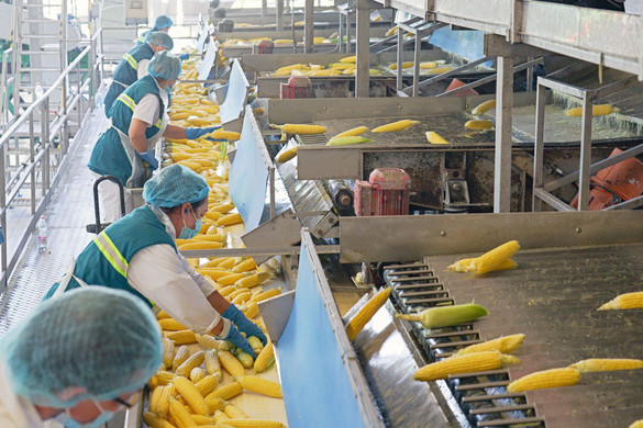 AM: 750 milliárd forintos támogatás az élelmiszeripar szereplőinek