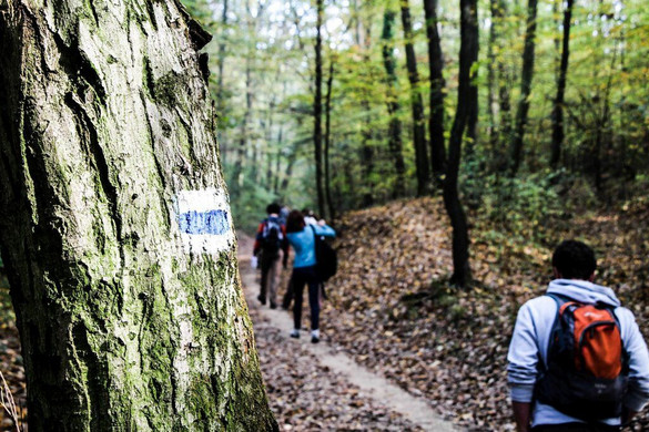 E-bringák, megújuló erdei kerékpárutak, bővített parkolók a Pilisben