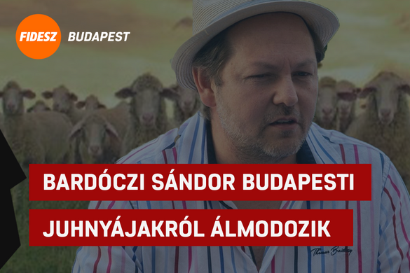 Bardóczi Sándor budapesti juhnyájakról álmodozik