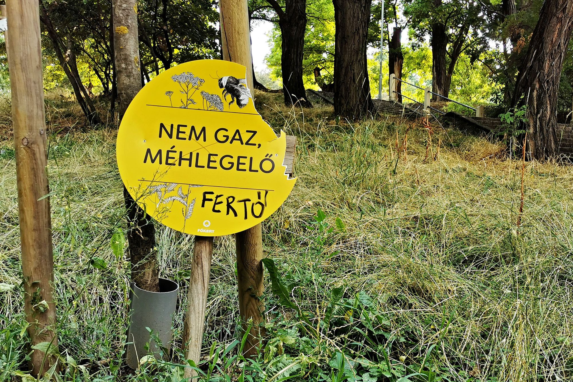Semmi köze a méhlegelőkhöz Karácsonyék gyomtengerének