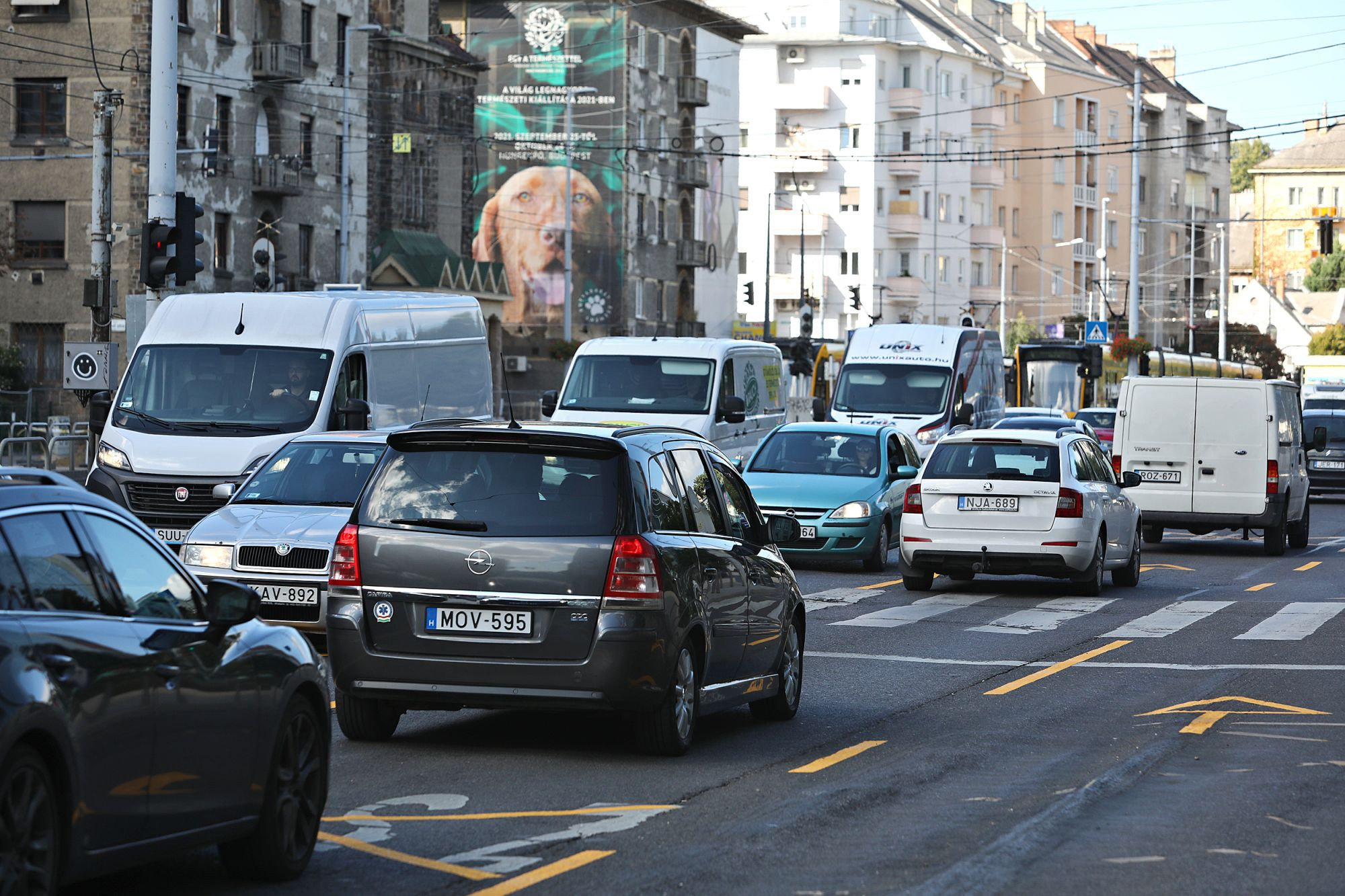 Cikk borítókép