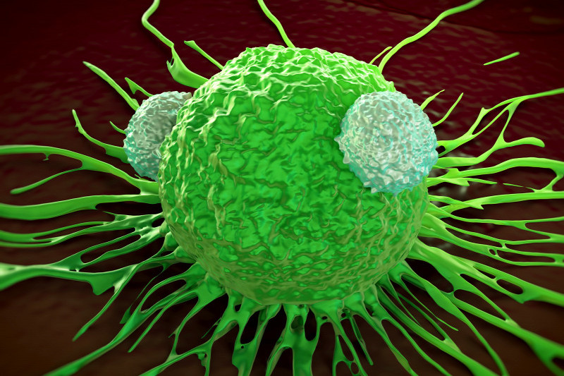 Ráksejtet támadó T-sejtek illusztrációja