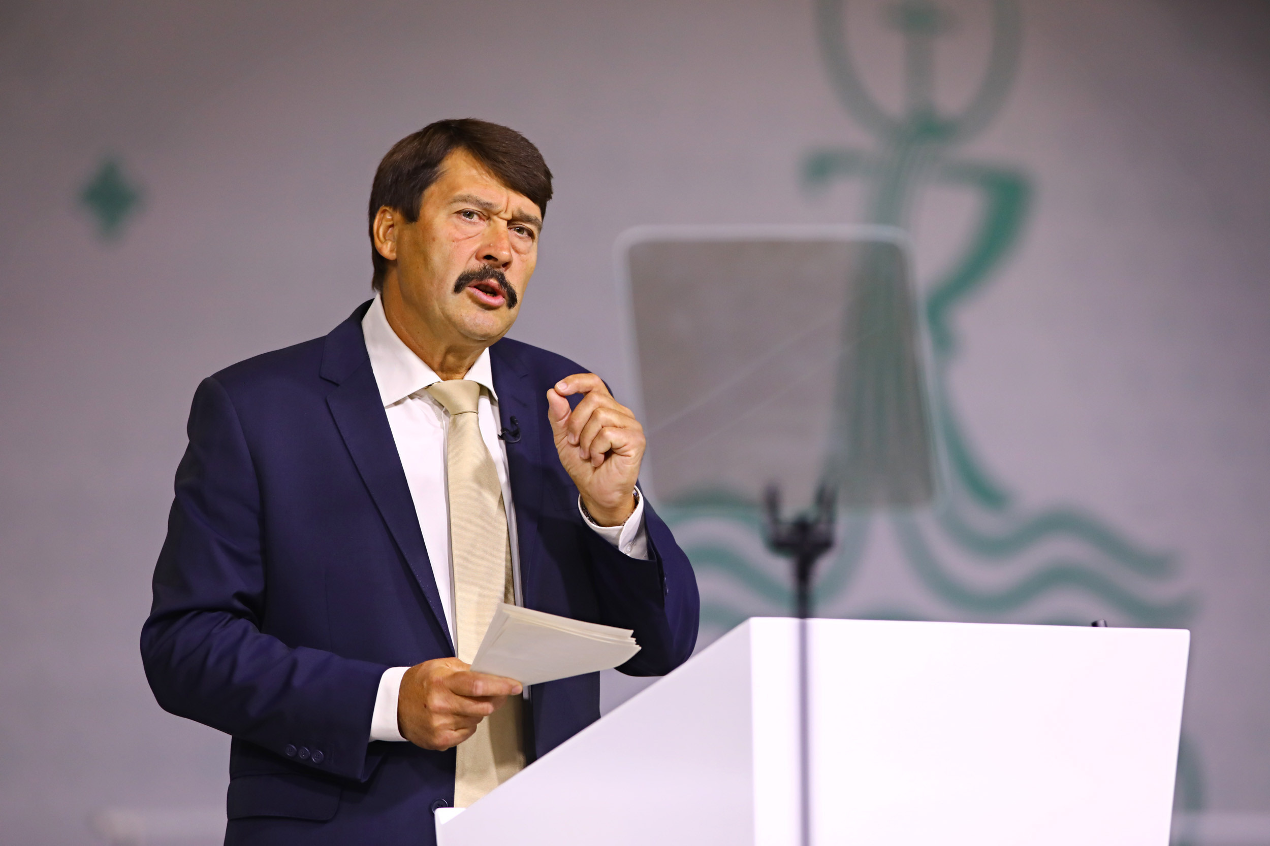 Áder János, Magyarország köztársasági elnökének tanúságtétele