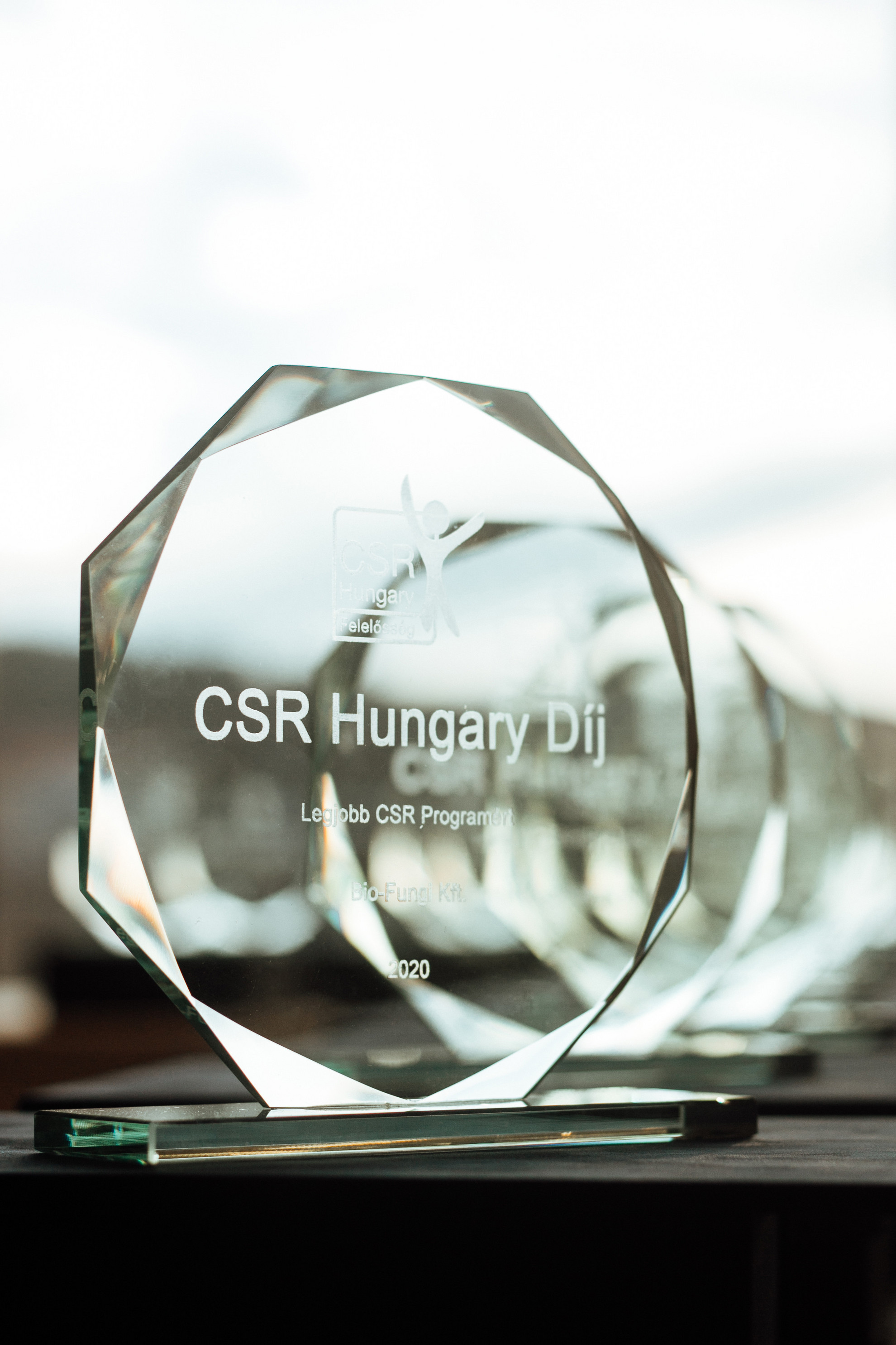 A Mészáros Csoport High-Tech Suli Programjával elnyerte a „Legjobb CSR Programért” díjat és az ezzel járó védjegyhasználatot az idei CSR Hungary Díj pályázatán