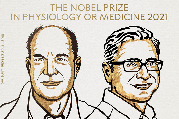Molekuláris biológiáért ketten kapják az orvosi Nobel-díjat