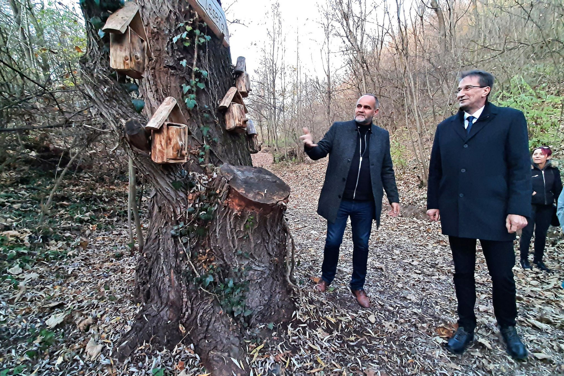Fotó: A szerző felvétele Bánhidi József faluvezető és Völner Pál fideszes képviselő az annavölgyi mesefánál
