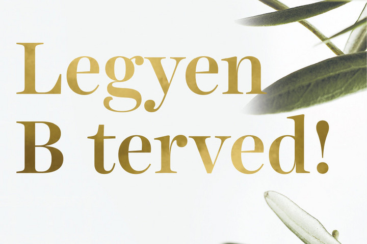 Fotó: Pallas Athéné Könyvkiadó Megjelent Shannah Kennedy Legyen B terved! című könyve