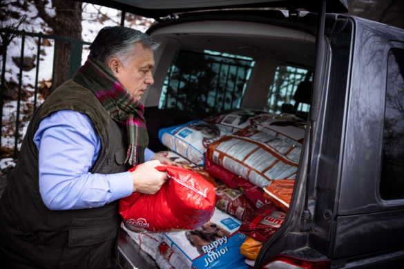 Orbán Viktor karácsonyi ajándékot vitt egy ürömi állatotthonba
