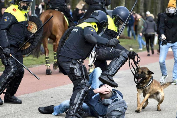 Brutális, kutyás rendőrtámadás Hollandiában