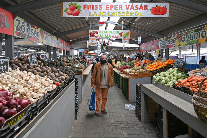 Már forgalmazzák a hazai növényházi zöldségeket