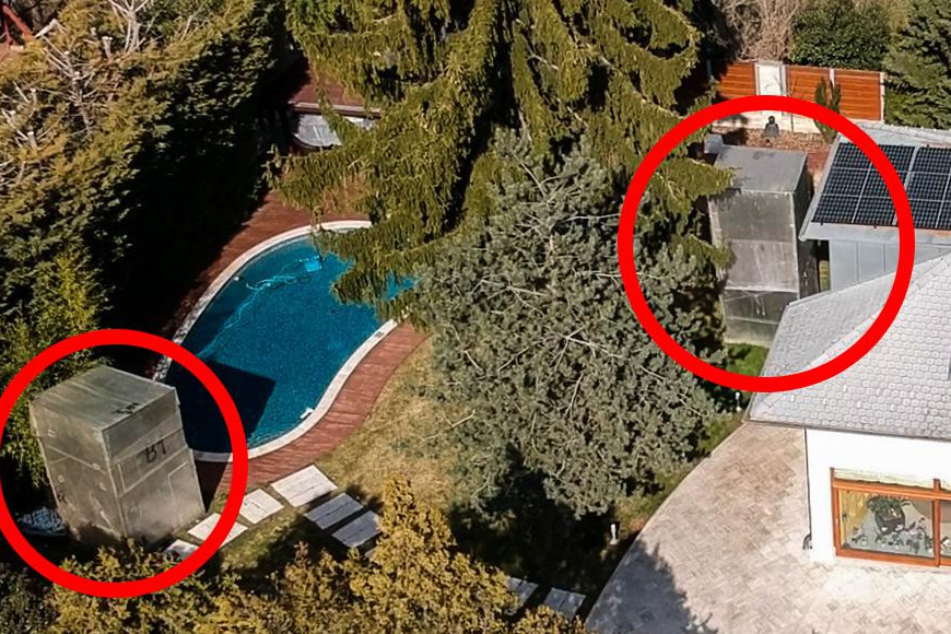 Fotó: Metropol A pálmák korábban saját üvegházat kaptak