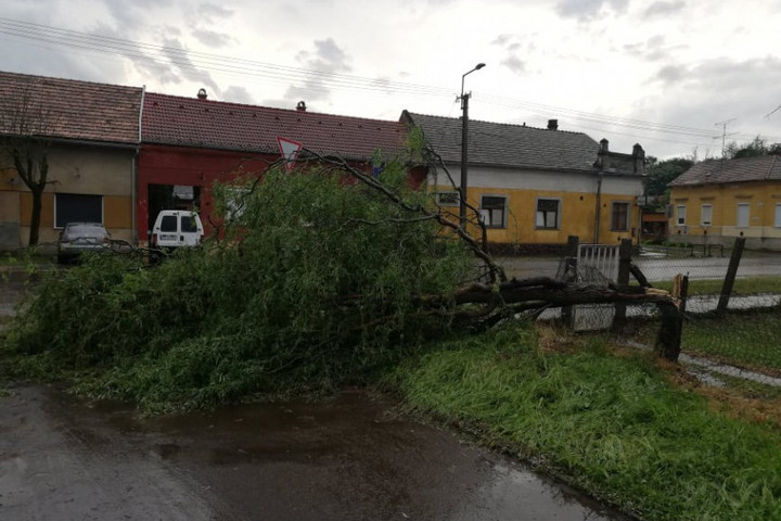 Országszerte pusztított a vihar, Kaposváron okozta a legsúlyosabb károkat