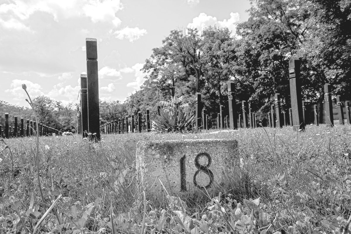 „…a keresett személyek a 298-as parcella 18-as sorának 5. és 7. sírjában fekszenek, mert abban az időben, 1950. december 20-tól 1951. júliusig oda temettek!”