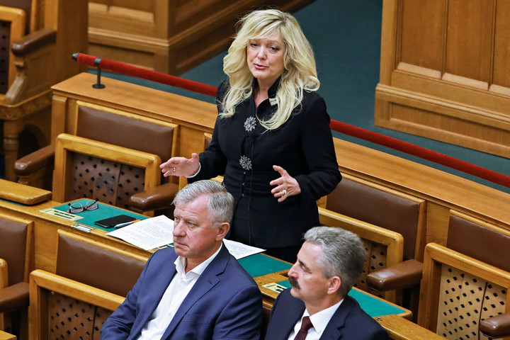 Fotó: MH/Török Péter A kormánypárt kizárólag szigorításokat támogat a gyermekvédelmi törvényben