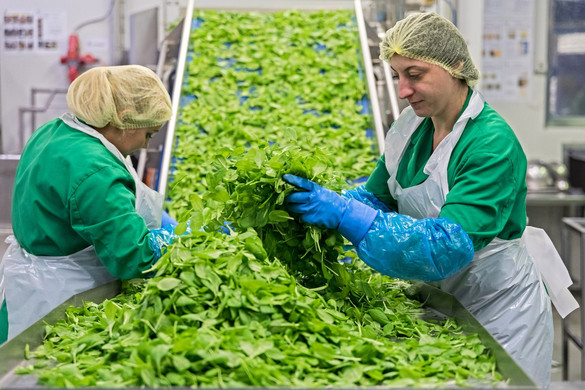 Érkeznek az ipari és építőipari adatok