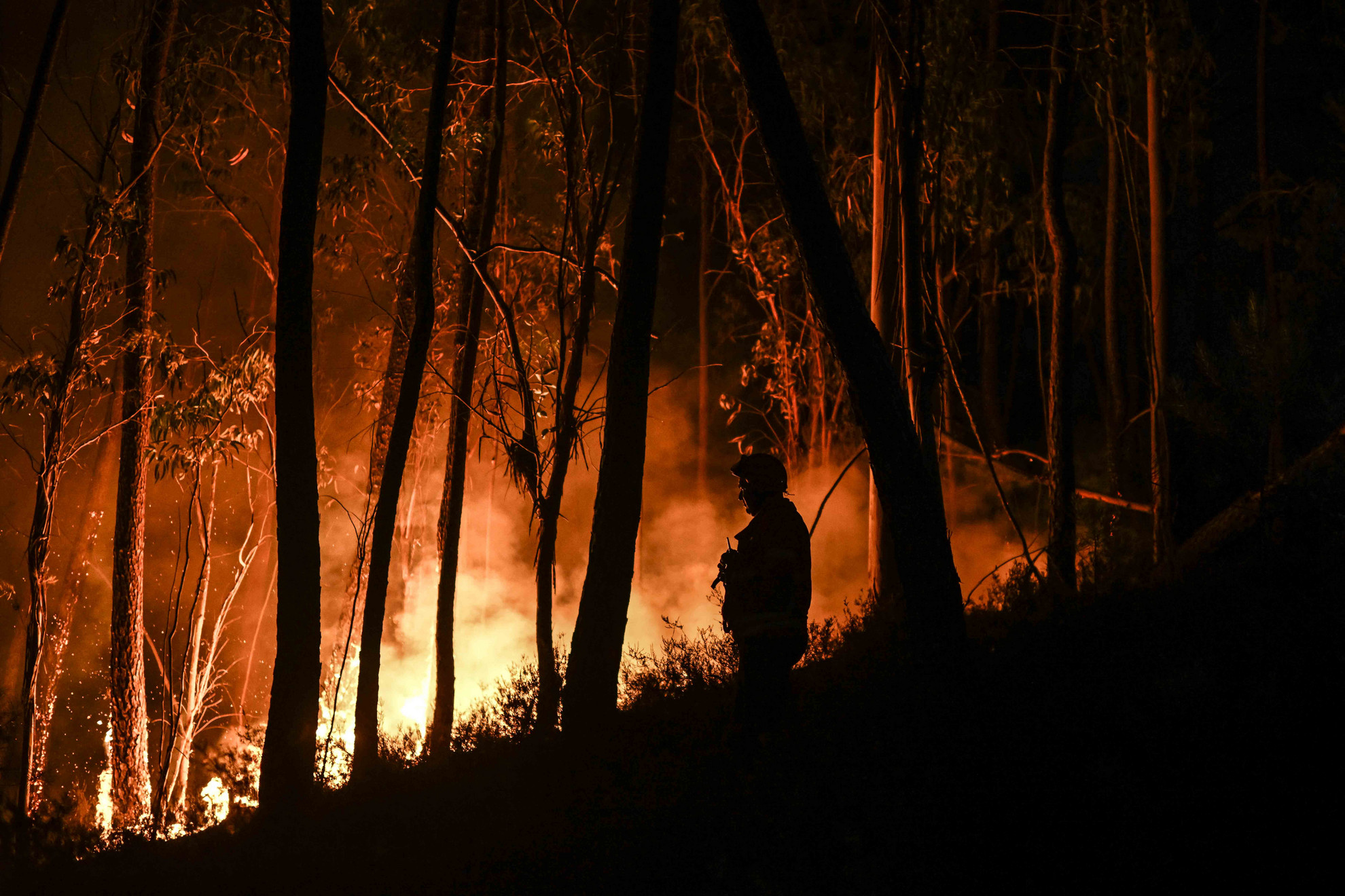 A tűzoltók szinte megállás nélkül küzdenek a Portugáliában kitört erdőtüzekkel