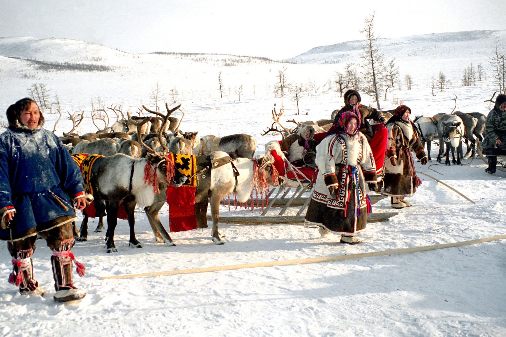 Ljudmilla Lipatova a tundrai népekről készített képeit állította ki a Kolta Galériában
