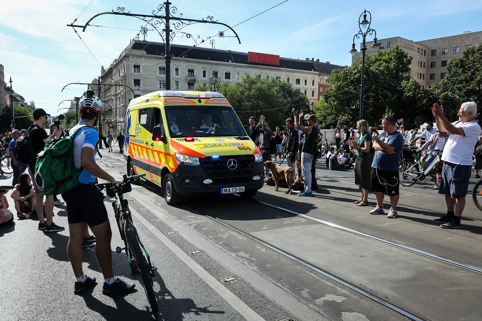 Kata tünti 2021. 07. 18. /2
