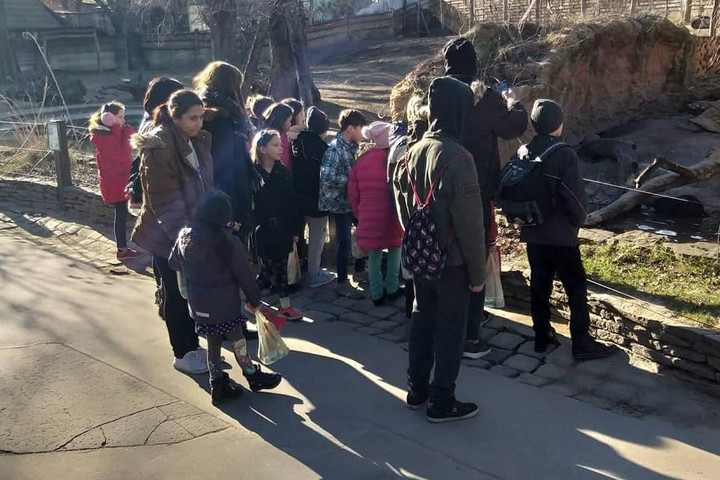 Változatos programokkal várja a vadvilág napján a Fővárosi Állatkert a látogatókat