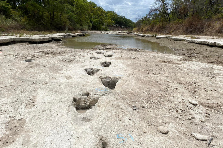 Százmillió éves dinoszaurusznyomokat tárt fel a texasi szárazság