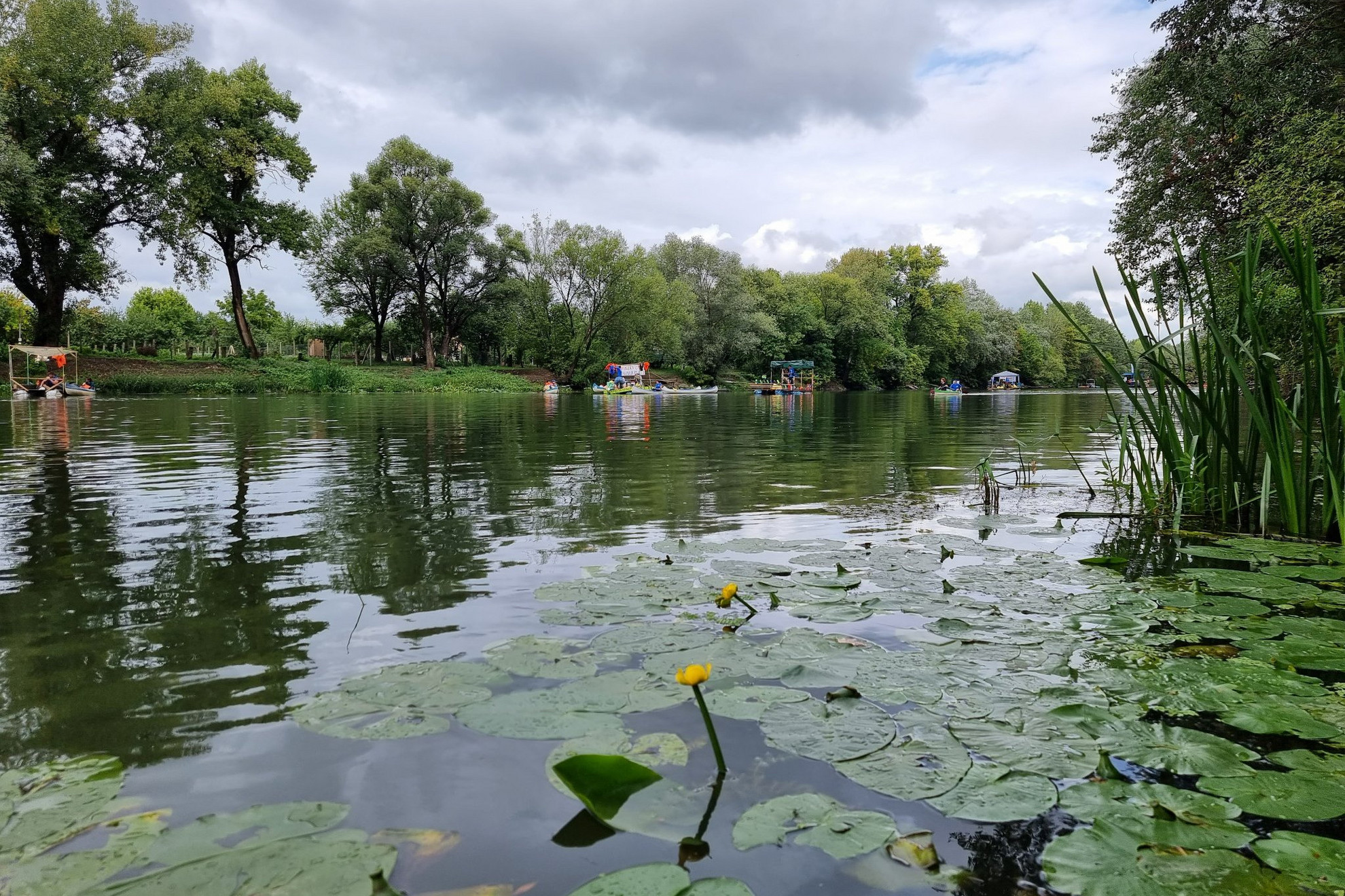 Fotó: PET Kupa Ilyen a háborítatlan Bodrog