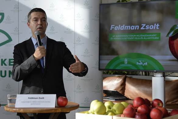 AM: Nem lesz hiány magyar almából az áruházakban