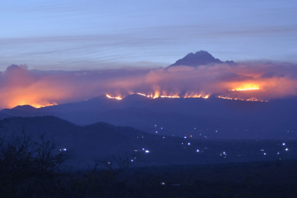 Megfékezték a lángokat Afrika legmagasabb hegyén, a Kilimandzsárón