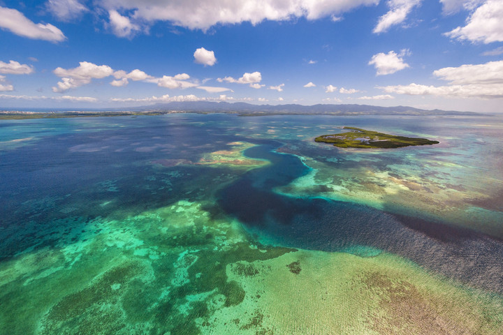 A Nagy-korallzátonyt veszélyeztetett világörökségi helyszínné nyilvánítanák