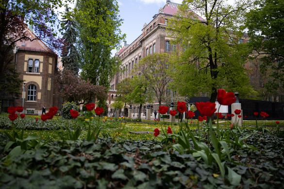 Átadták a Pécsi Eszter Tanári Díjakat Budapesten