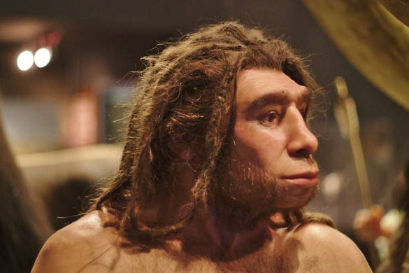 Homo sapiens csecsemő a neandervölgyiek között