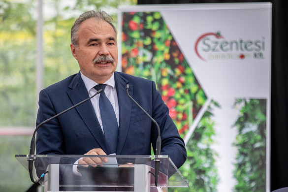 Nagy István: Exportdominanciájú lett a paradicsom- és paprikatermelés + VIDEÓ