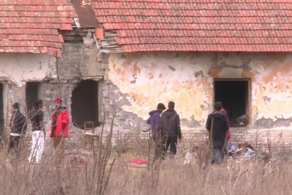 Migránsok lövöldöztek Horgos központjában + VIDEÓ