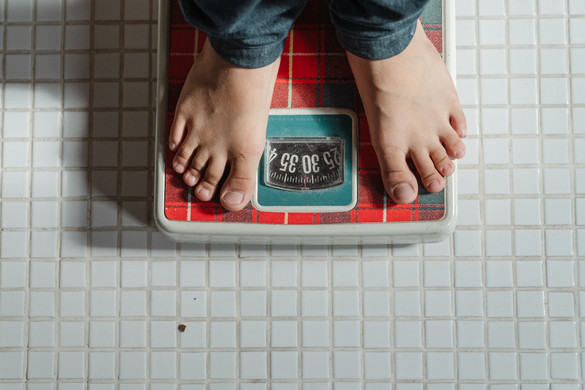Surján Orsolya: A leggyakoribb egészségkárositó tényező az elhízás