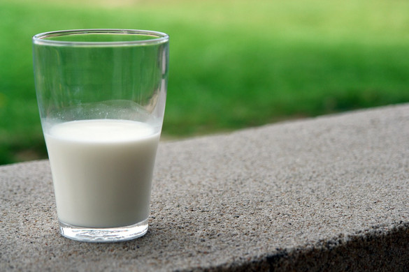 Nébih: országos célvizsgálat a tej- és takarmányágazatban