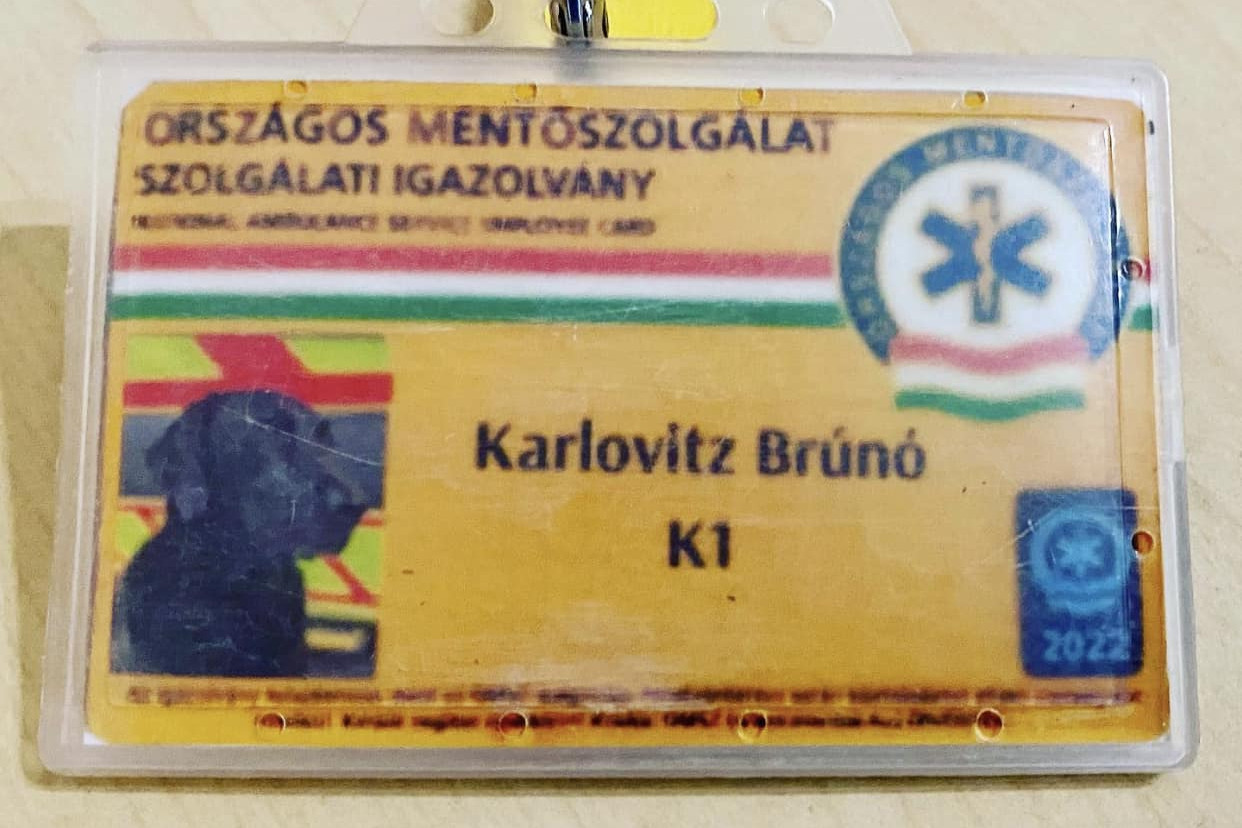 Egy kutyát vettek állományba a mentők
